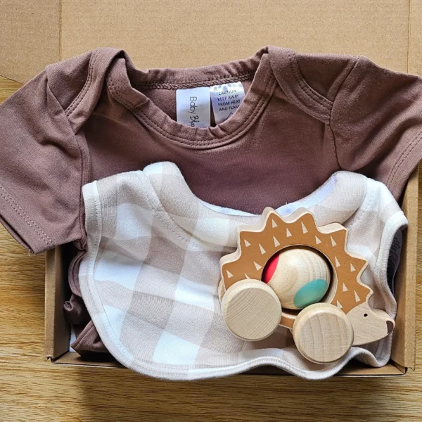 Earthy snuggle baby gift box neutral newborn set