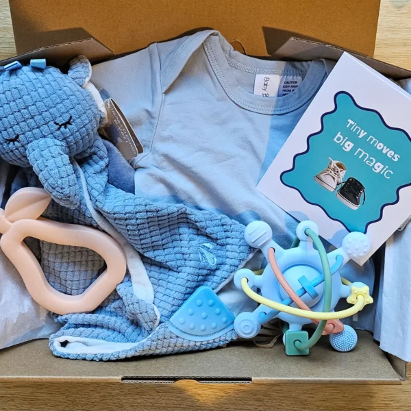 Premium baby boy gift box with elephant comforter