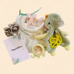 Unisex baby gift set hamper with dinosaur snuggle buddy