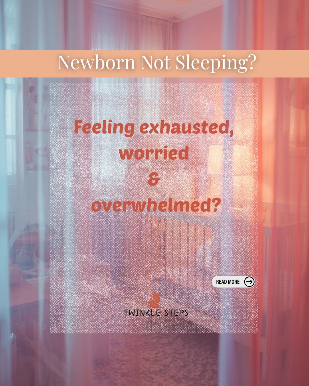 640385480 17865967704580023 1391088753711858778 n